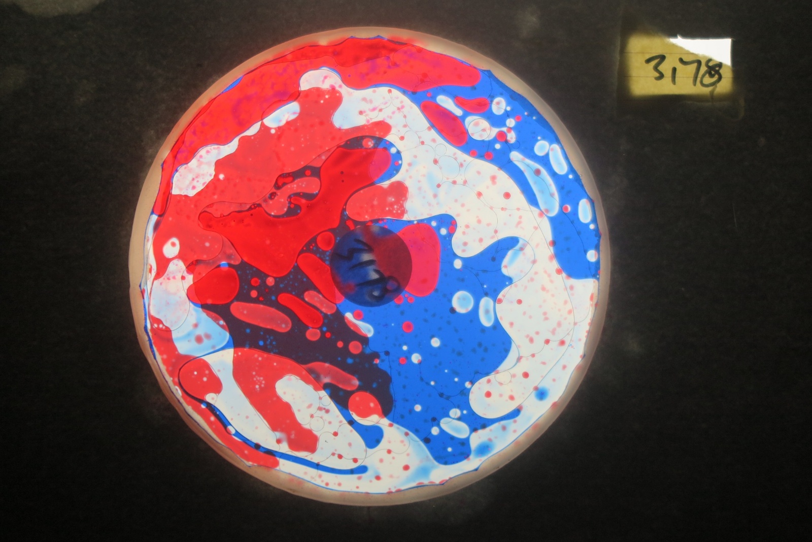 BV3178 bubble vision oil wheel